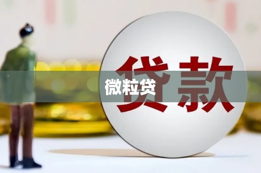 沙雅微粒贷