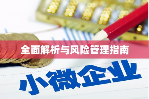 镇康全面解析与风险管理指南