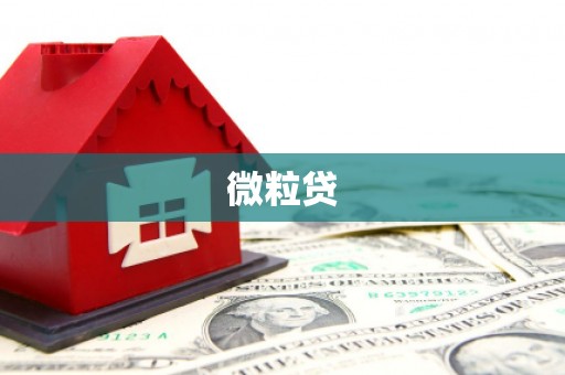 天元微粒贷