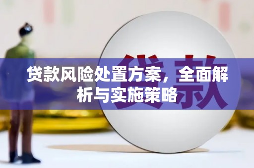 兰西贷款风险处置方案，全面解析与实施策略