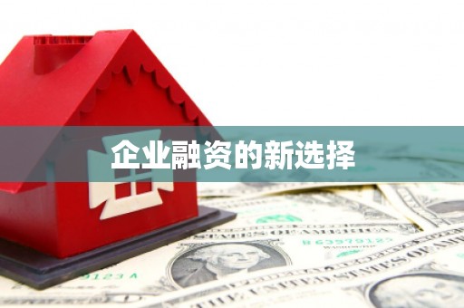 威宁企业融资的新选择