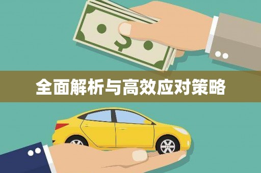 河北全面解析与高效应对策略