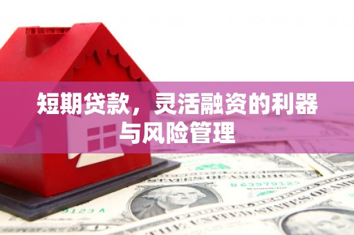 勐海短期贷款，灵活融资的利器与风险管理